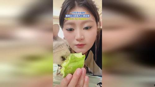 娱乐吃瓜酱小丫头