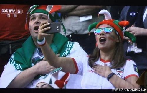 吃瓜群众娱乐版下载安装,轻松下载，畅享欢乐时光