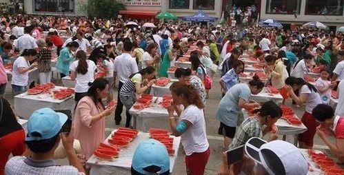 娱乐吃瓜营地,吃瓜营地带你探秘明星幕后故事