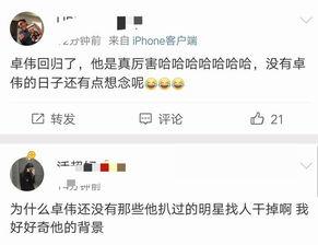 娱乐吃瓜吕小布微博,揭秘娱乐圈幕后故事