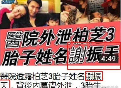 娱乐吃瓜酱起名大全